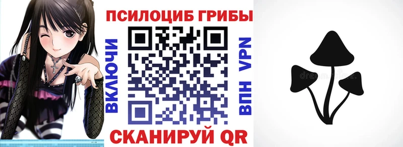 Купить  Зуевка  Галлюциногенные грибы Psilocybe 